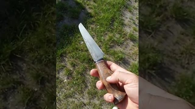 Нож. Сталь шх15.акация смотреть онлайн