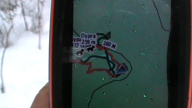 Охота на куницу с Лайками. смотреть онлайн