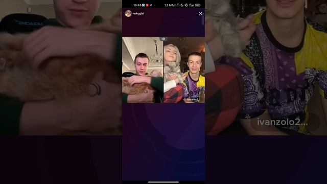 полный стрим Некоглая, Ивана Золо, Светы Соллар и Симбочки в тик токе 14.01.23 смотреть онлайн