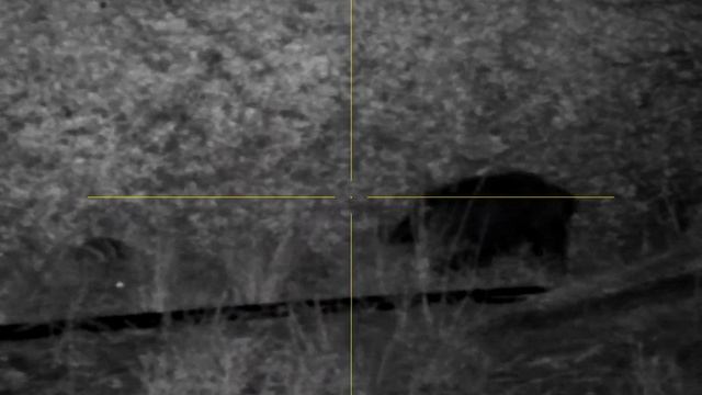 PARD DS35 смотреть онлайн