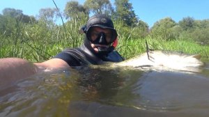 ДЕАФ Подводная охота 18.08.2024