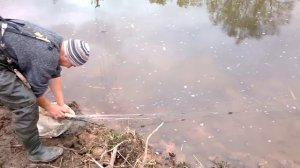ловля рыбы сетями