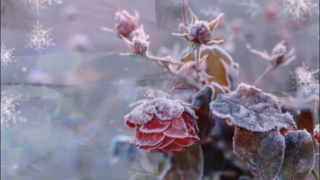 Хрустальная грусть – Дудук. смотреть онлайн