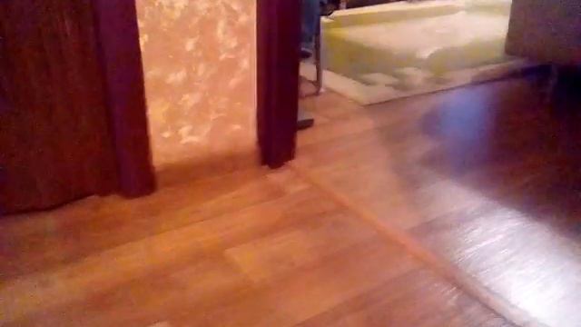 Что делают мои в 10 часов вечера?😺