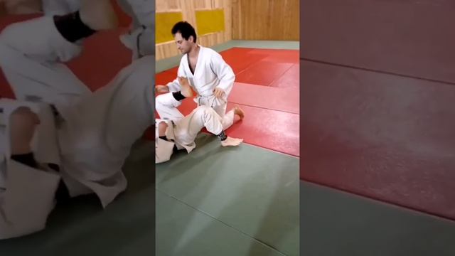 Переход на рычаг локтя. Фиксация головы ногами. Дзюдо. BJJ. Armbar from guard смотреть онлайн