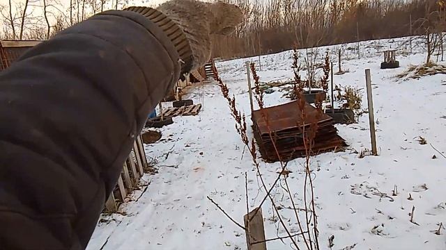 Правильная обрезка деревьев, зачем это надо? смотреть онлайн