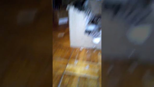 кот VS коробка смотреть онлайн