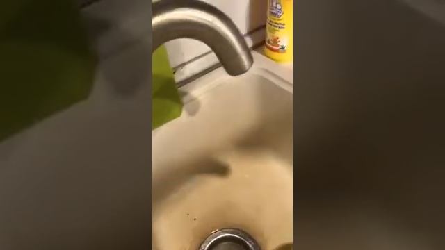 Маринуем ставридку смотреть онлайн