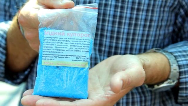 Ваш сад №4 - Парша смотреть онлайн