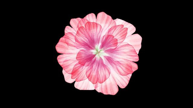 МУЗЫКА С ДОЖДЕМ И ПИАНИНО - Deep Relaxing Piano Music | Rain sounds for studying смотреть онлайн