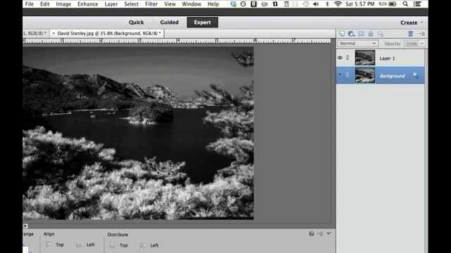 Photoshop Elements Quick Tip - Fast and Fun Infrared смотреть онлайн