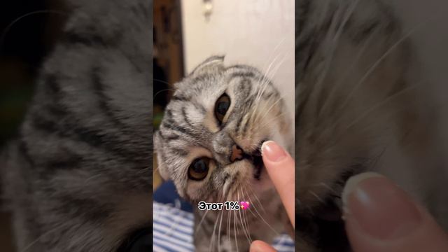 У кого также?)