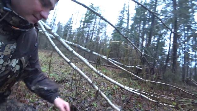 Лайка и Волкособ, прогулка под болтавню... смотреть онлайн