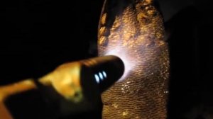 как быстро почистить бобровый хвост.