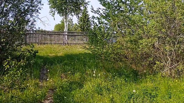 Что такое смерть и какое должно быть отношение к смерти? смотреть онлайн