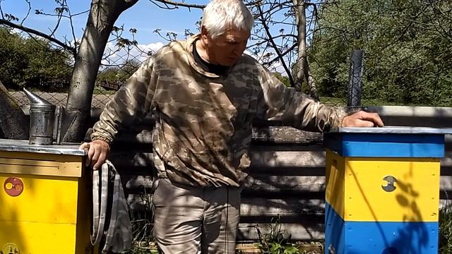 Эффективный Улей Василия Приятеленко: Оригинальный Улей и Пчелорамки. смотреть онлайн