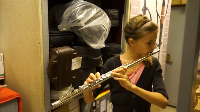 my flute - search and choice (Muramatsu EX-RBE) смотреть онлайн