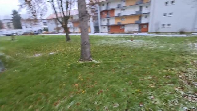 Жизнь в Германии / новости Германии / поздние переселенцы в Германию 2021 смотреть онлайн