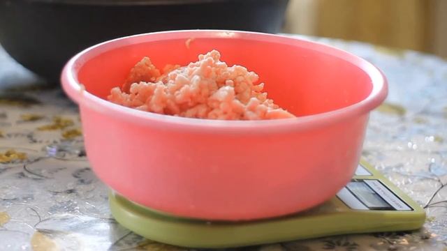 Интересные Факты о Животных