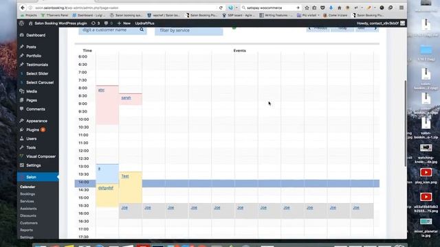 Salon Booking system - calendar daily view смотреть онлайн