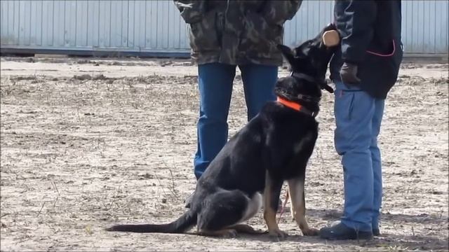 Quadra video 1год,3 мес смотреть онлайн