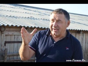 ООО Волгоград Эдильбай. Селекционная и племенная работа