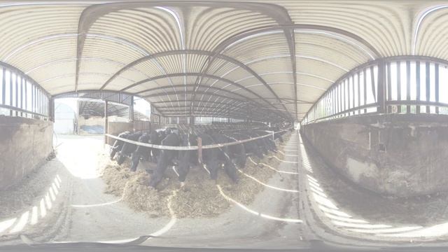 David Millar Farm - Lely Vector - Smart feeding tour 2020 смотреть онлайн