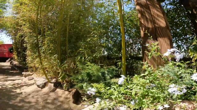 Zoológico nacional. Национальный зоопарк в Сантьяго смотреть онлайн