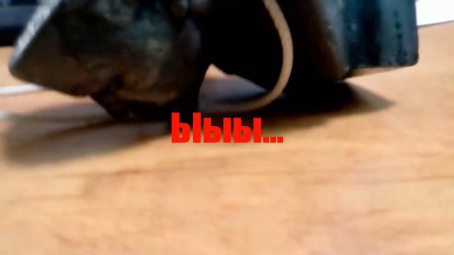 Ленин пал смотреть онлайн