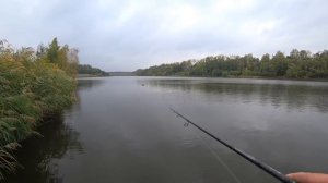 Попробовал ловить 3-метровым спиннингом - вот что из этого вышло! Рыбалка с друзьями!