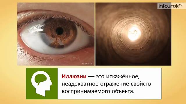 Зрительный анализатор смотреть онлайн