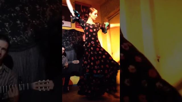 Flamenco 108 sept2014 смотреть онлайн