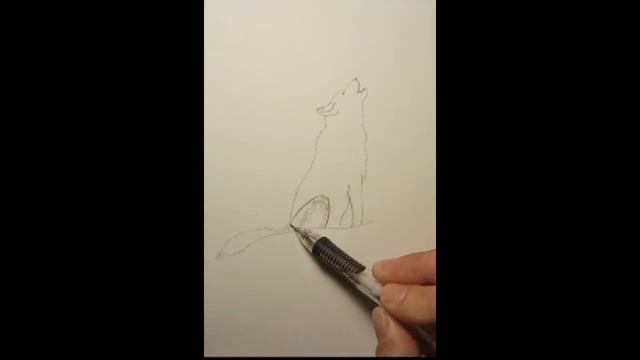 wolf sketch real time смотреть онлайн