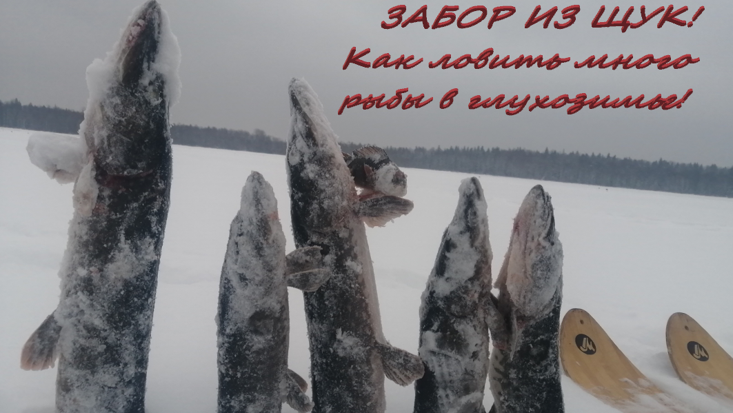 ЗАБОР ИЗ ЩУК!!! Как ловить много рыбы в ГЛУХОЗИМЬЕ! День 1.