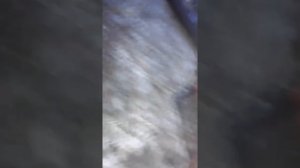 Нет искры на двигателе ЗиД