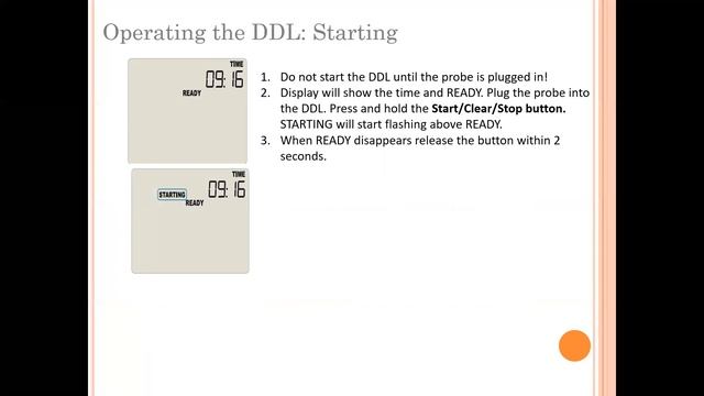 DDL Training смотреть онлайн