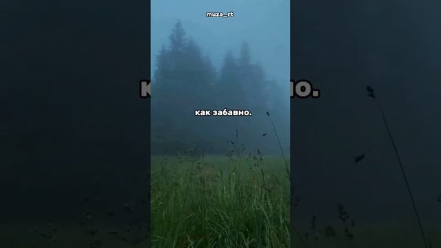 Футажи из тик тока смотреть онлайн