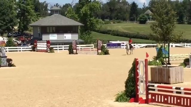 HUNTERS TRY JUMPERS?! // HORSE SHOW VLOG!! смотреть онлайн