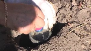 Супер-подземный полив винограда.