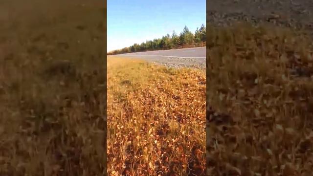 Поездка в ХМАО Приобье