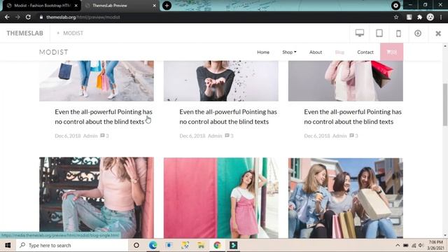 Modist: Fashion Bootstrap HTML Template смотреть онлайн