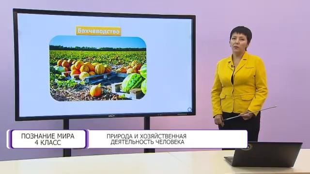 Познание мира. 4 класс. Природа и хозяйственная деятельность человека /16.09.2020/ смотреть онлайн