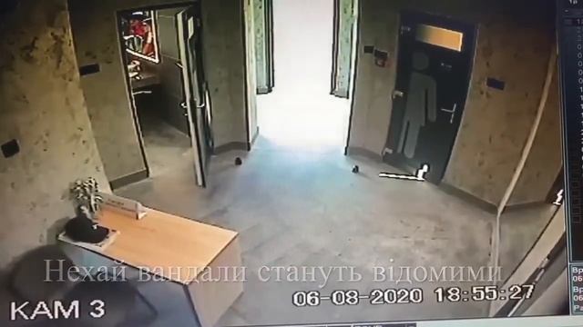 негідники зіпсували громадські туалети смотреть онлайн