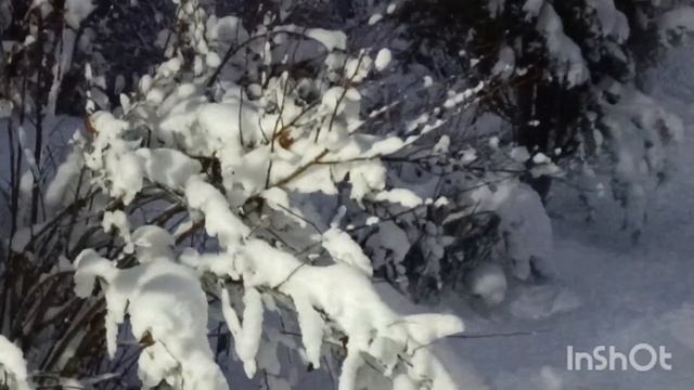 начало хорошее. зима в конце ноября 23 г. смотреть онлайн