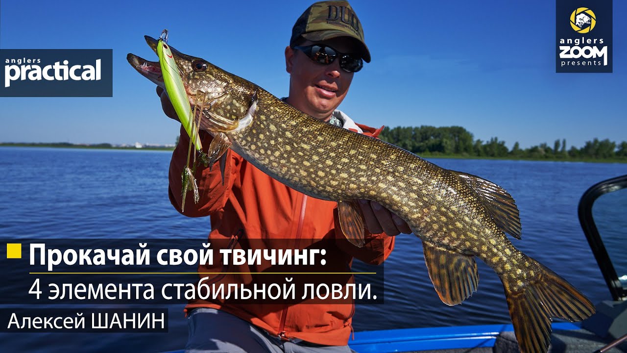 Прокачай свой твичинг: 4 элемента стабильной ловли. Алексей Шанин. Anglers Practical смотреть онлайн