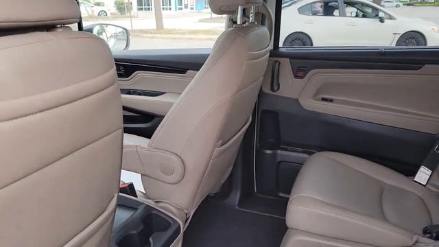 2021 Honda Odyssey Tampa, Clearwater, St. Petersburg, Pinellas Park, Palm Harbor, FL 91P672 смотреть онлайн