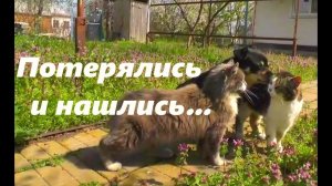 #130 Потерялись и нашлись...