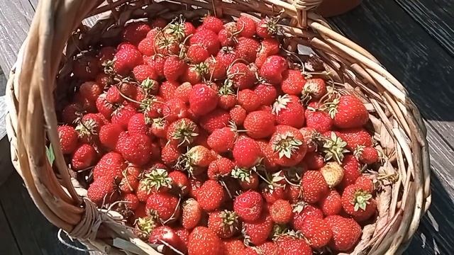 Закупка продуктов на 1600 рублей. Июль 2022 год. Цены и Акции. смотреть онлайн