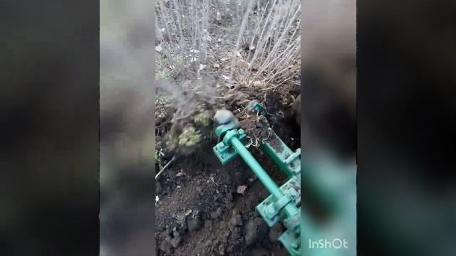 Выкопочный плуг на минитракторе 20 л.с. Отлично себя зарекомендовал.тел89094542187, 89181975887 смотреть онлайн