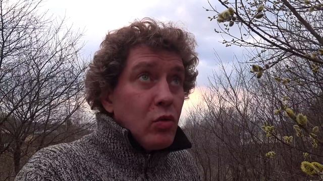 КОВИД-19, религиозная пауза. Цветущая слива. Люди, любите друг друга! смотреть онлайн